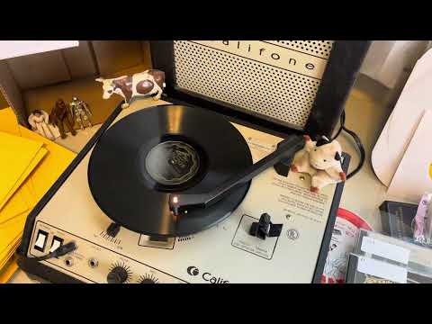 Five Harmoniacs “Sadie Green Vamp of New Orleans” Victor 20293