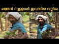 മത്തന്റെ ഇലേം ചോറും വേണം ഉച്ചക്ക് Muneer E