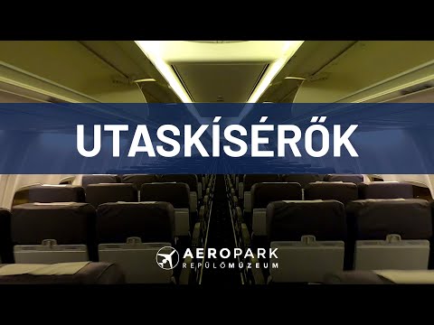 Stewardessek: csapatmunka a levegőben - Sportolói járat (Ep. 178)