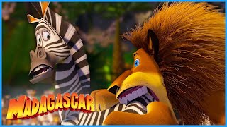 Give Me Fooooood! | DreamWorks Madagascar