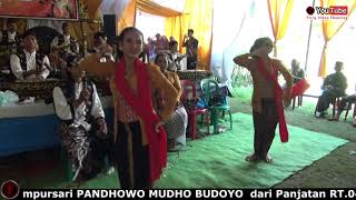 Download lagu Lenggeran Sue Ora Jamu Campursari Pandhowo Mudho mp3