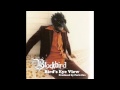Blackbird - Survivor
