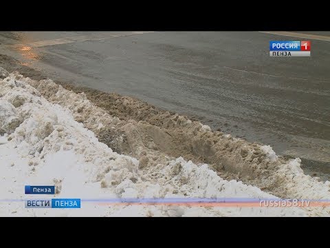 В Пензе раскритиковали очистку дорог от снега