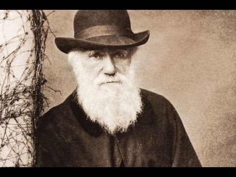 Planet Wissen - Charles Darwin und die Artenvielfalt
