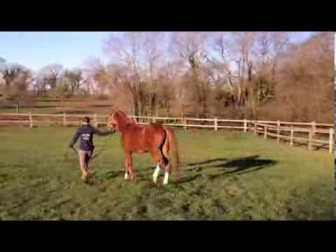 comment monter un syndicat