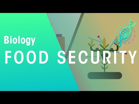 Food Security | Ecology & Environment | Biology | FuseSchool