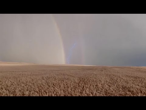 Montana Ag Network: Life on Welker Farms captures large following