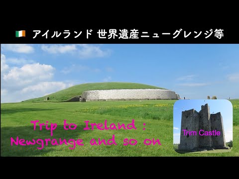 考古学:専門家さえ驚くアイルランド城の部屋 – 「悲劇」