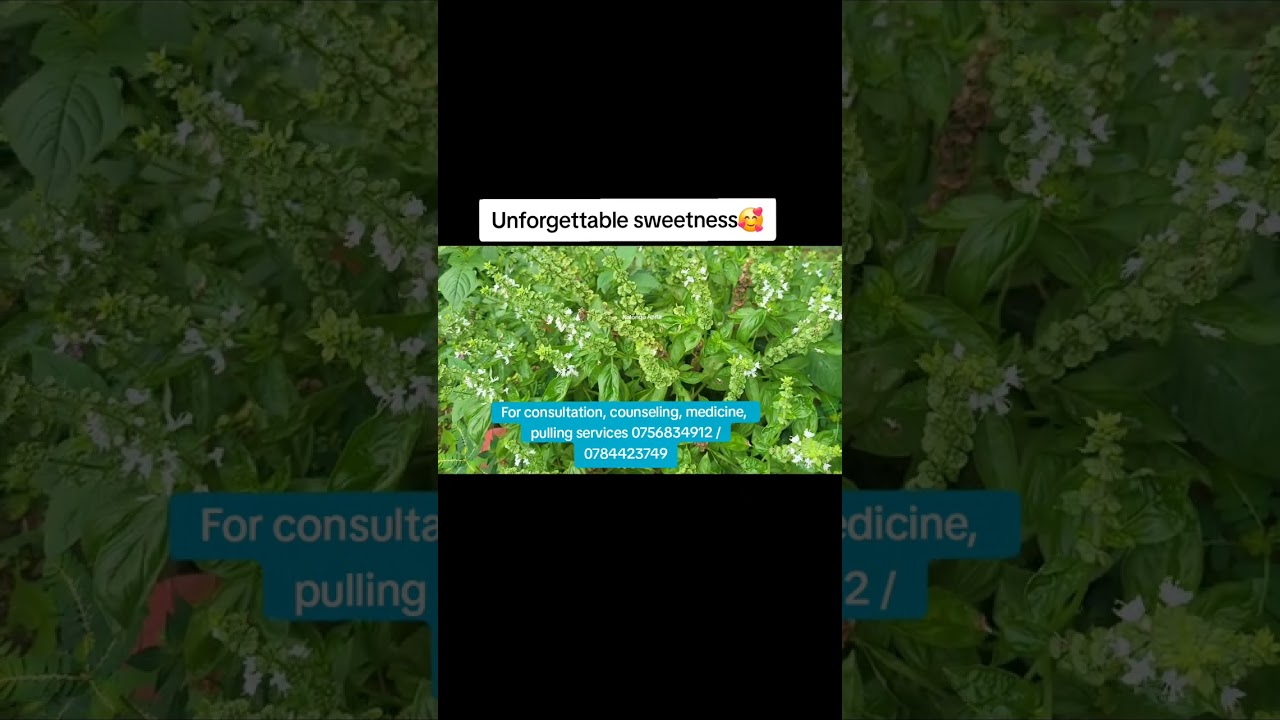 HAPPY WOMEN'S DAY. NALONGO ANITA