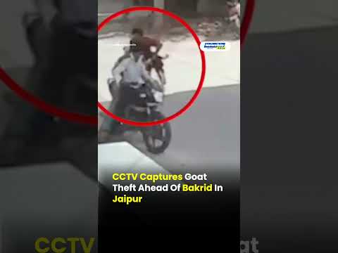 CCTV Captures Alleged Goat Theft Ahead of Bakrid in Jaipur