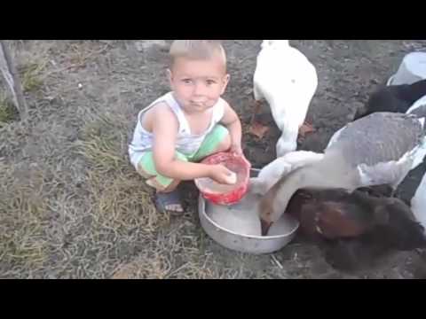 The best funny video Compilation 2017