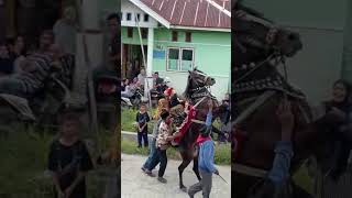 Download lagu Atraksi Sayyang Pattu'du (Kuda Menari) mp3