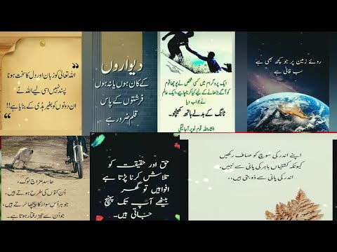 Islamic quotes Urdu | Urdu quotes | Motivational quotes | mateen Islamic quotes  | Golden words
