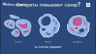 Сигареты повышают сахар? #сахарныйдиабет