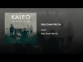 Kaleo, Way Down We Go 
