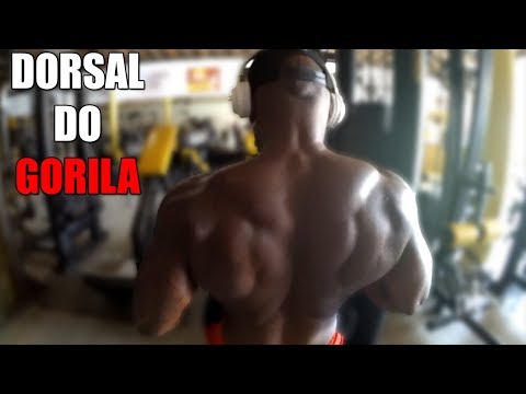 ESMAGANDO A DORSAL! *Treino de costas* (Igor Gorila)