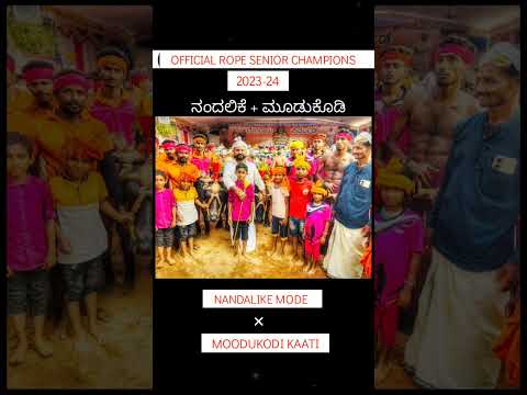 Rope Senior Champions Nandalike & Venur Moodukodi | Kambala | #kambala #Shorts