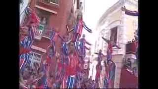 La Festa de la Mare de Déu de la Salut