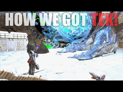 Everyone's Struggle To Get Tek Tier! | Ark Official Small Tribes Pvp Fjordur E7