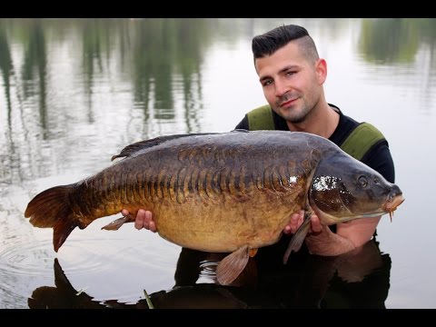 Carp fishing Farlows lake ( Day Ticket Diaries part 4 )