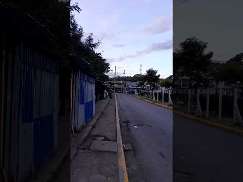 Transporte Alaniz Brothers Matagalpa Rancho Grande