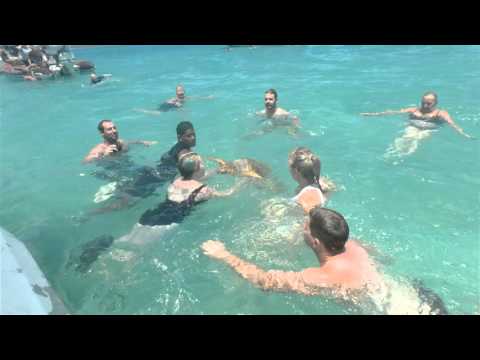 Thumbnail for P&O Pacific pearl Cruise to the Pacific Islands - Isle Of Pines