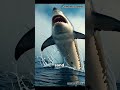 Sharks Beat Machines The Ocean S Electric Superpower Shorts