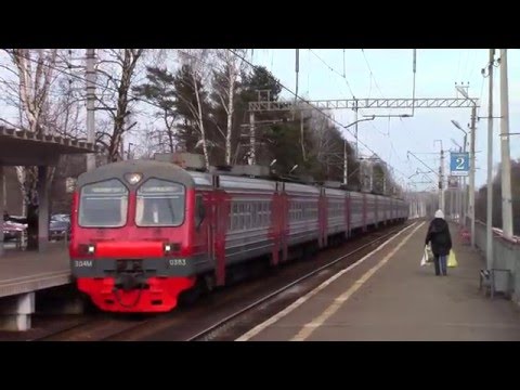 Электричка ашукинская лось. Ашукинская. Станция ашукинская достопримечательности. Сергиев посад семхоз электричка. Эд4м цппк ярославское направление.