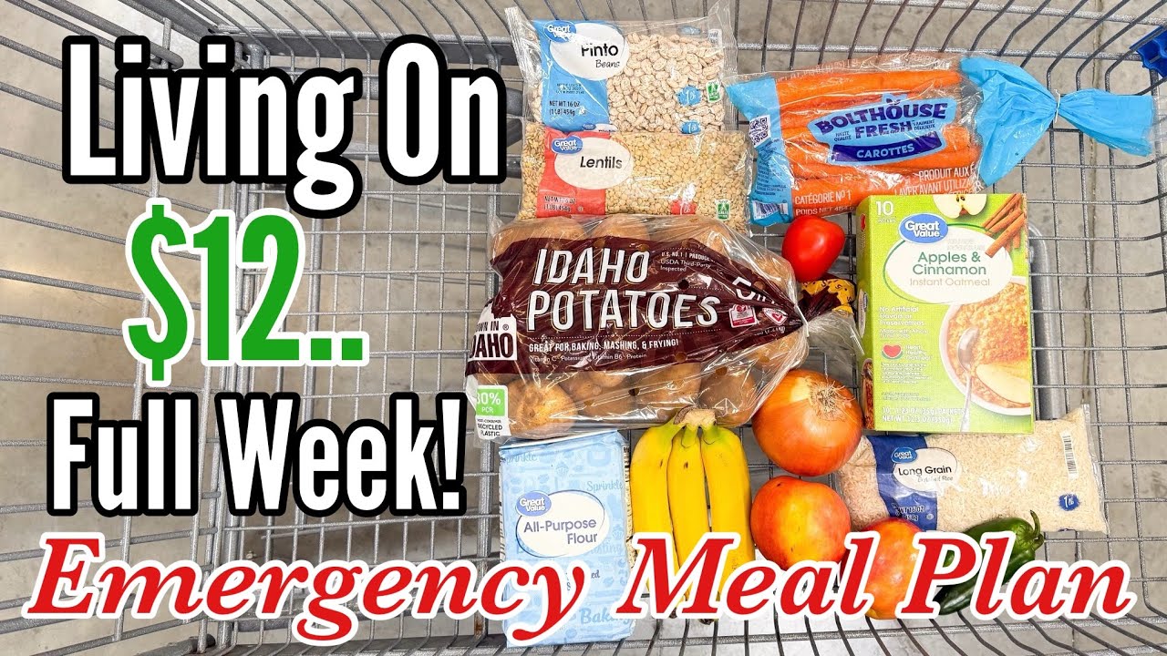Eating on $12 a Week | Easy, Healthy & Cheap Recipes for an Emergency Budget