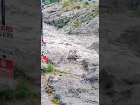 Crecida del #rio #minaclavero #cordoba #argentina #verano2026 #asombroso #travel #naturalezasalvaje