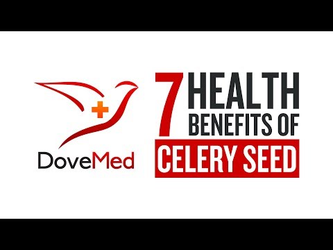 download lagu mp3 mp4 Celery Seed, download lagu Celery Seed gratis, unduh video klip Celery Seed