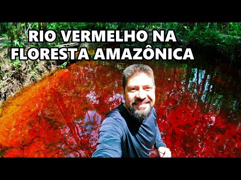 O INCRÍVEL RIO VERMELHO, LAGOA CRISTALINA EM PRESIDENTE FIGUEIREDO NO AMAZONAS. #drone #brasil #rio