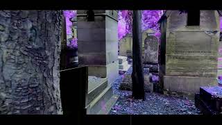 Jim Morrison - The Severed Garden(with lyrics)