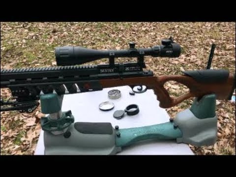 PCP Air Rifle On A Budget ( Xisico Sentry )