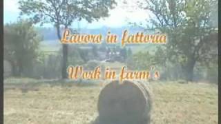 preview picture of video 'Agriturismo Palazzo Vecchio:  lavori in fattoria'