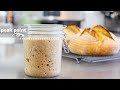 Understanding Sourdough Starter | feeding, ratios, leaven, when to use, what to feed