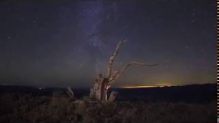 John Frusciante  - Fanfare - Español