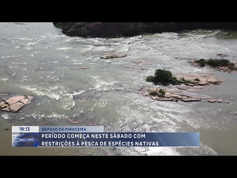 Defeso da Piracema: período começa neste Sábado com restrições à pesca de espécies nativas.