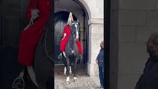 Get of the reins, Royal kings guard shout on tourist #shorts #kingsguard