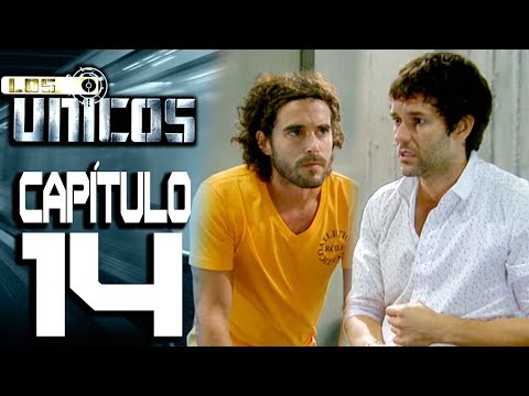 THE ONLY ONES - Chapter 14 - HIGH DEFINITION