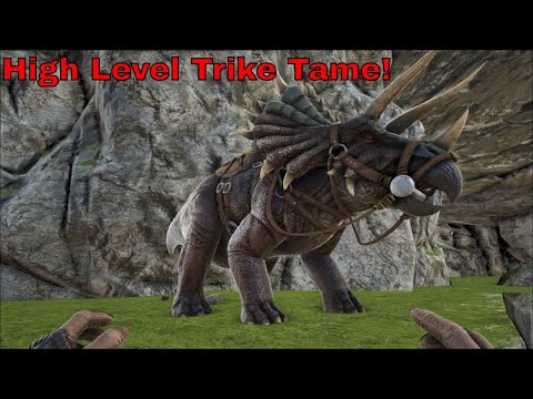 HIGH LEVEL TRIKE | ARK: RAGNAROK# 61