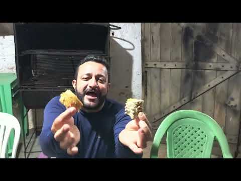 BAR DO BRANCO BELEM ALAGOAS BRASIL