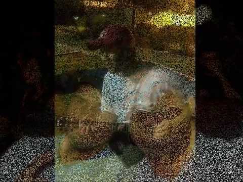 Deus me Proteja - Setembro 93 (Rubinho Andrade) - Chico César Cover