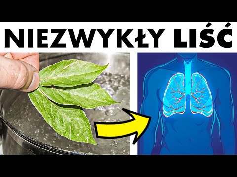 Zacznij tak stosować liść laurowy 🌿 Działanie zdrowotne Cię zaskoczy