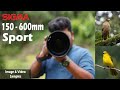 Sigma 150-600mm Sport Lens Review in Malayalam with Canon R5 ( Image & Video Samples )