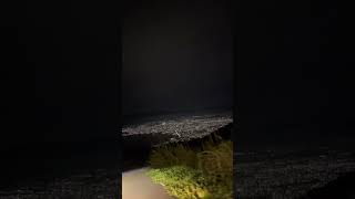 Download lagu Story wa malam hari mp3