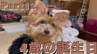 Part12今年で4歳になったリズちゃん！