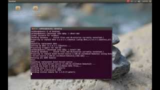 How to Install Broadcom STA Wireless Driver in Ubuntu 12.10 (Offline)