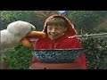 Barney And Friends Honk Honk A Goose On The Loose Part 2