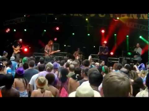 The Heavy Pets - Purple Hatters Ball 2014